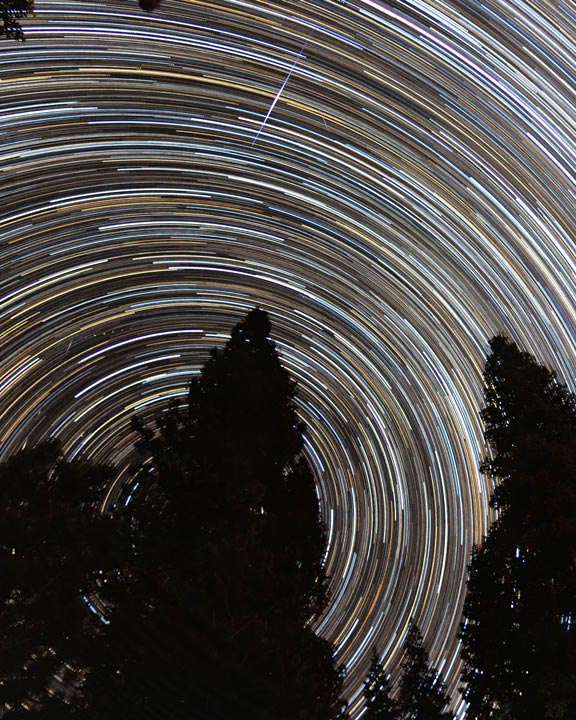 Star-trails forming a circular pattern in the night sky behind silhouettes of pine trees from Jackson Meadows campground near Truckee, CA.